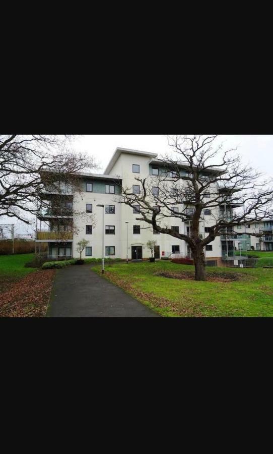 Executive Brentwood Apartment エクステリア 写真